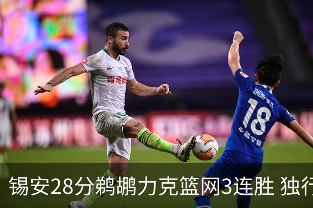 锡安28分鹈鹕力克篮网3连胜 独行侠险胜马刺